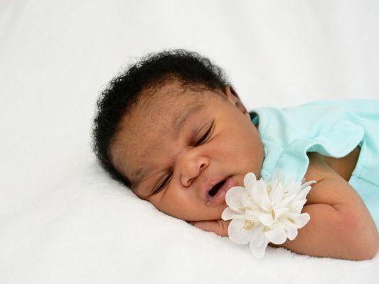 Die Vol.at - Redaktion gratuliert recht herzlich. Die Vol.at - Redaktion gratuliert recht herzlich.