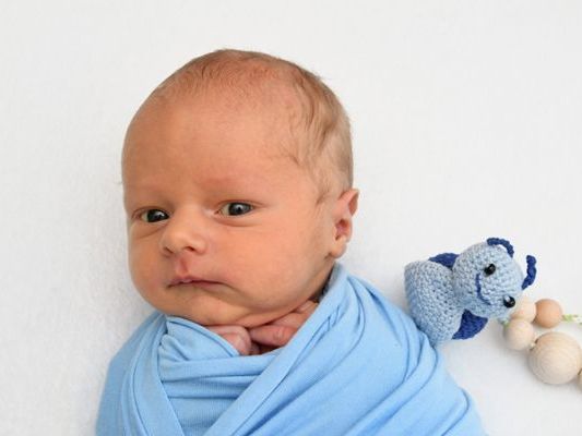 Die Vol.at - Redaktion gratuliert recht herzlich. Die Vol.at - Redaktion gratuliert recht herzlich.