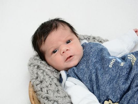 Die Vol.at - Redaktion gratuliert recht herzlich. Die Vol.at - Redaktion gratuliert recht herzlich.