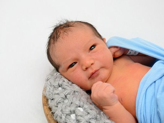 Die Vol.at - Redaktion gratuliert recht herzlich. Die Vol.at - Redaktion gratuliert recht herzlich.