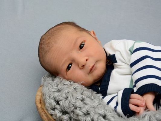 Die Vol.at - Redaktion gratuliert recht herzlich. Die Vol.at - Redaktion gratuliert recht herzlich.