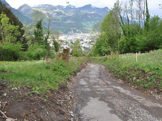 Der Straßenbelag des Hohlweges in Rungelin wird ab Mitte Mai erneuert.