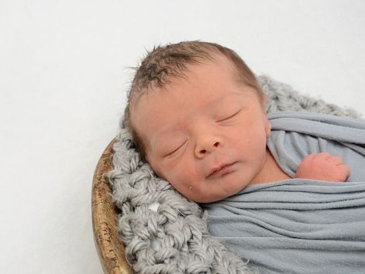 Die Vol.at - Redaktion gratuliert recht herzlich. Die Vol.at - Redaktion gratuliert recht herzlich.