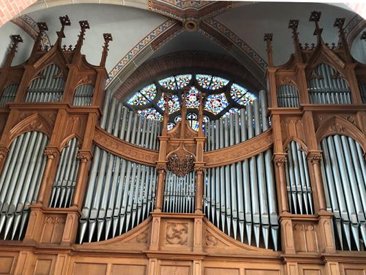 Behmann-Orgel