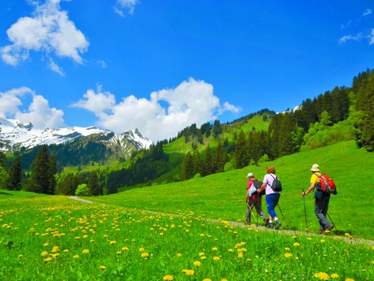 Senioren wandern in den Bergen Senioren wandern in den Bergen