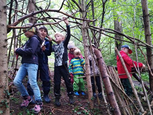 "Wild im Wald" "Wild im Wald"