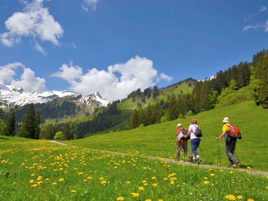 Senioren wandern in den Bergen Senioren wandern in den Bergen