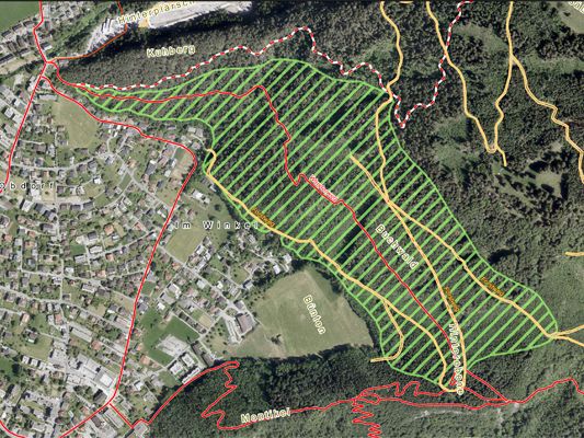 Im Bludenzer Buchwald finden Holzarbeiten statt. Im Bludenzer Buchwald finden Holzarbeiten statt.