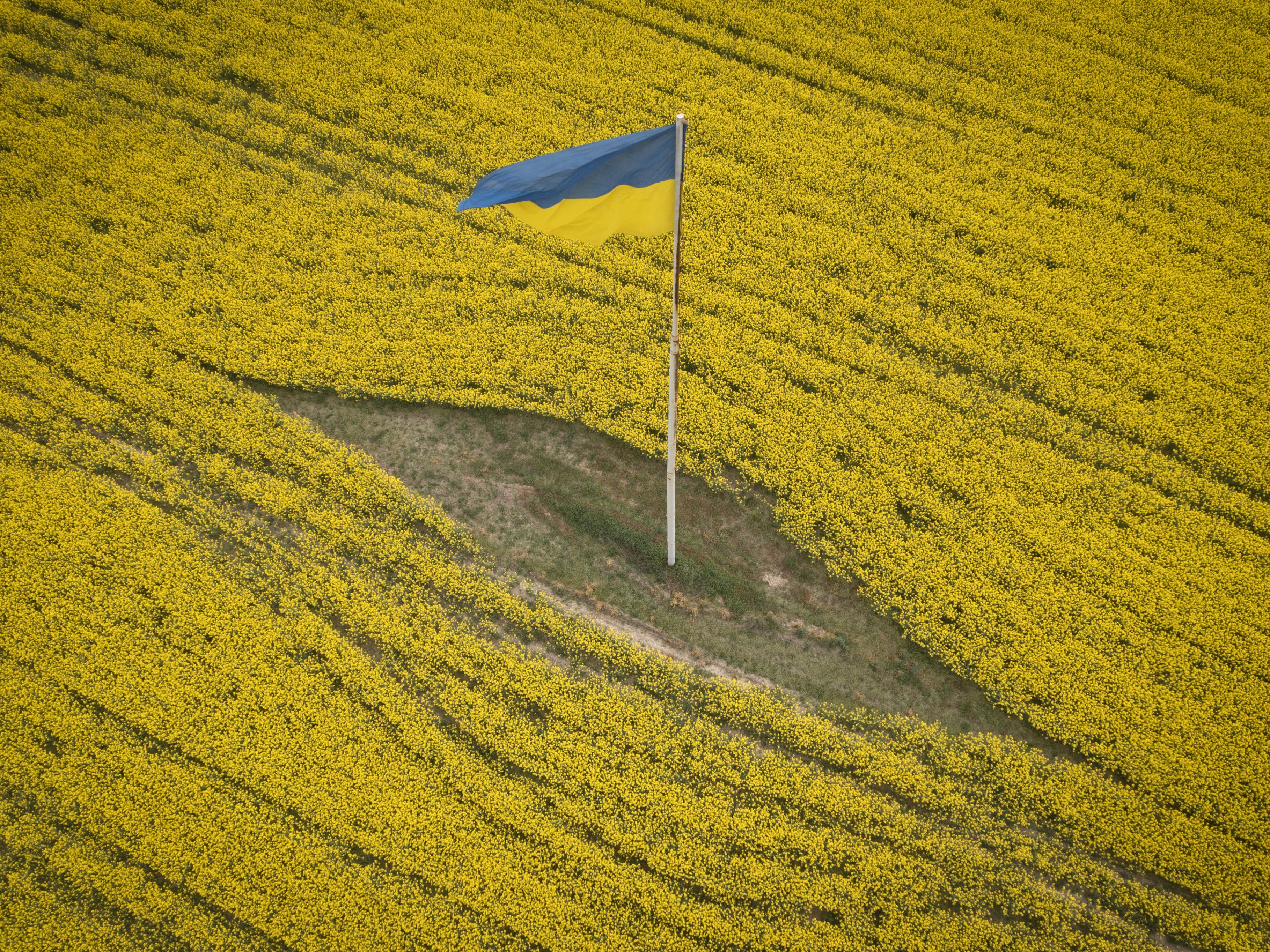 Österreich und Ukraine wollen mehr zusammenarbeiten. Österreich und Ukraine wollen mehr zusammenarbeiten.