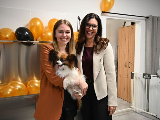 Beauty- und Wellness-Angebot für Vierbeiner Beauty- und Wellness-Angebot für Vierbeiner