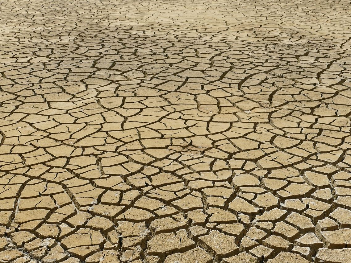 Europäische Forscher fordern rasches Handeln der Politik gegen den Klimawandel. Europäische Forscher fordern rasches Handeln der Politik gegen den Klimawandel.
