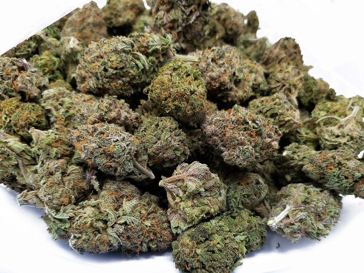 Elf Kilo Cannabiskraut wurden am Flughafen Wien sichergestellt. Elf Kilo Cannabiskraut wurden am Flughafen Wien sichergestellt.