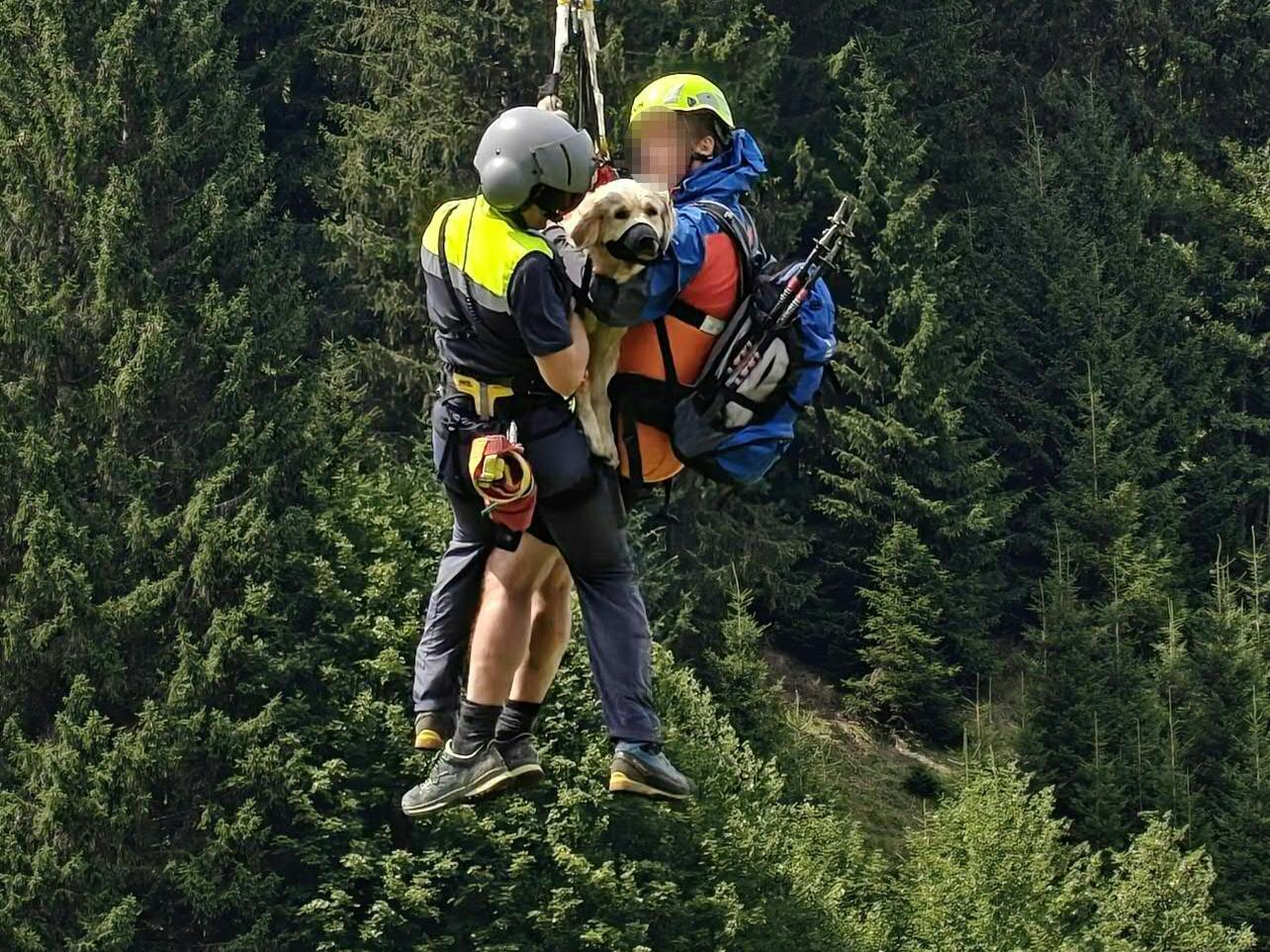 Die schwer verletzte Hündin und ihr Halter wurden per Hubschrauber geborgen. Die schwer verletzte Hündin und ihr Halter wurden per Hubschrauber geborgen.