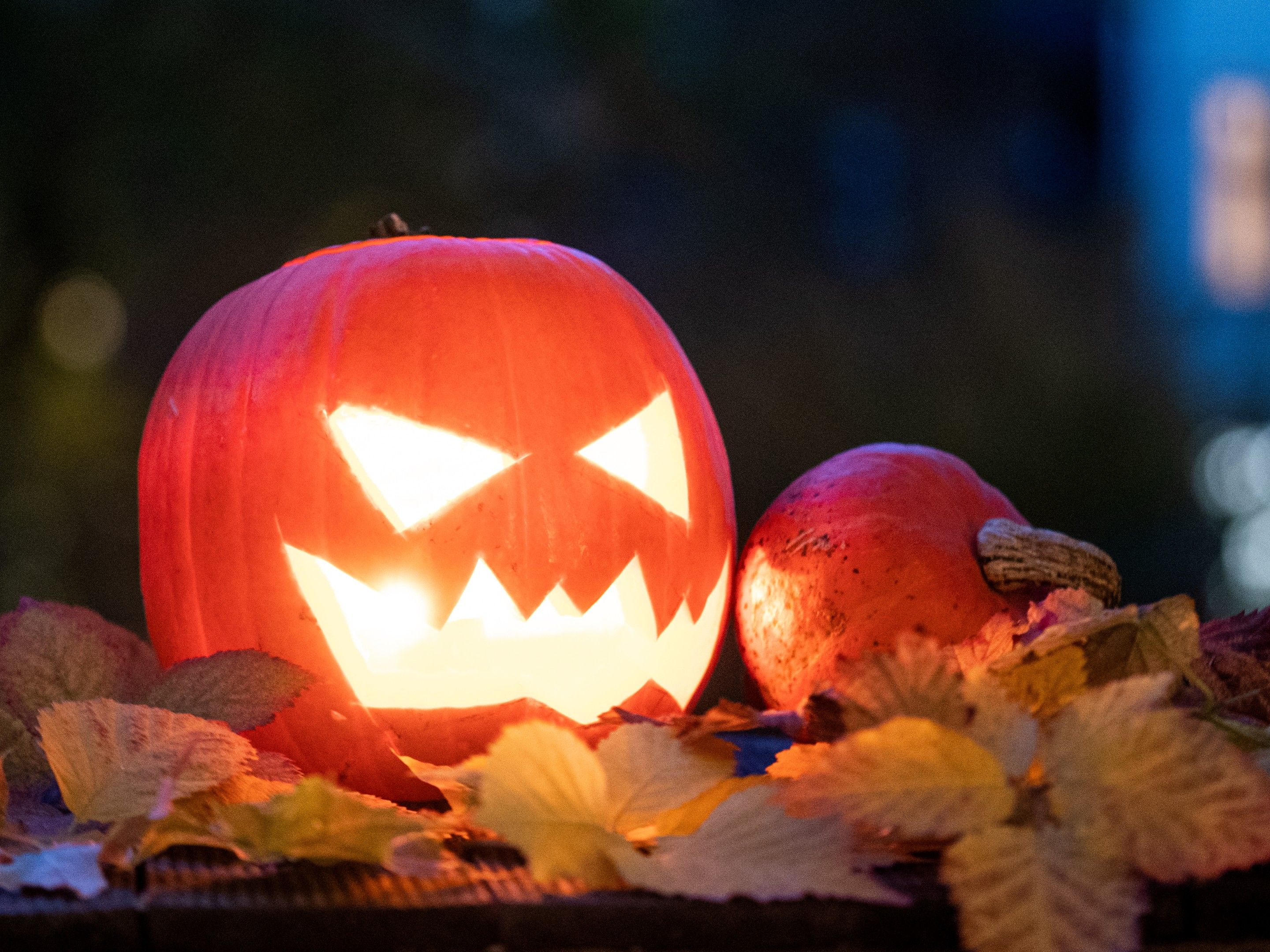 Halloween bringt dem Handel rund 90 Mio. Umsatz. Halloween bringt dem Handel rund 90 Mio. Umsatz.