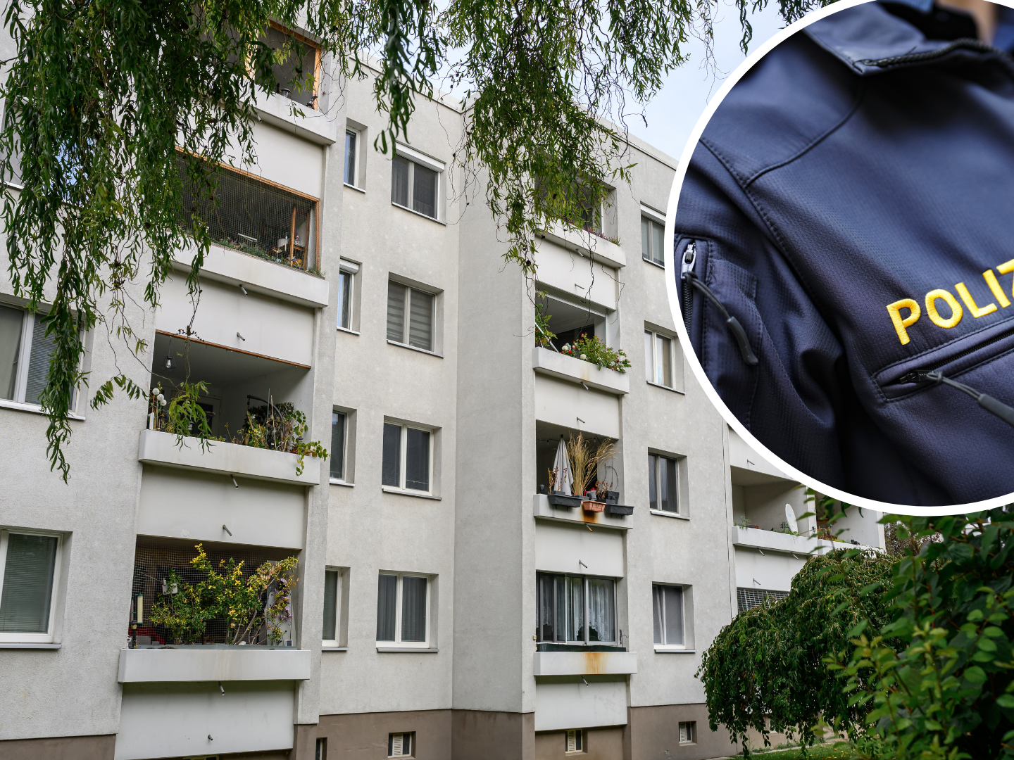 Die U-Haft über den 50-Jährigen wurde in Aussicht gestellt. Die U-Haft über den 50-Jährigen wurde in Aussicht gestellt.
