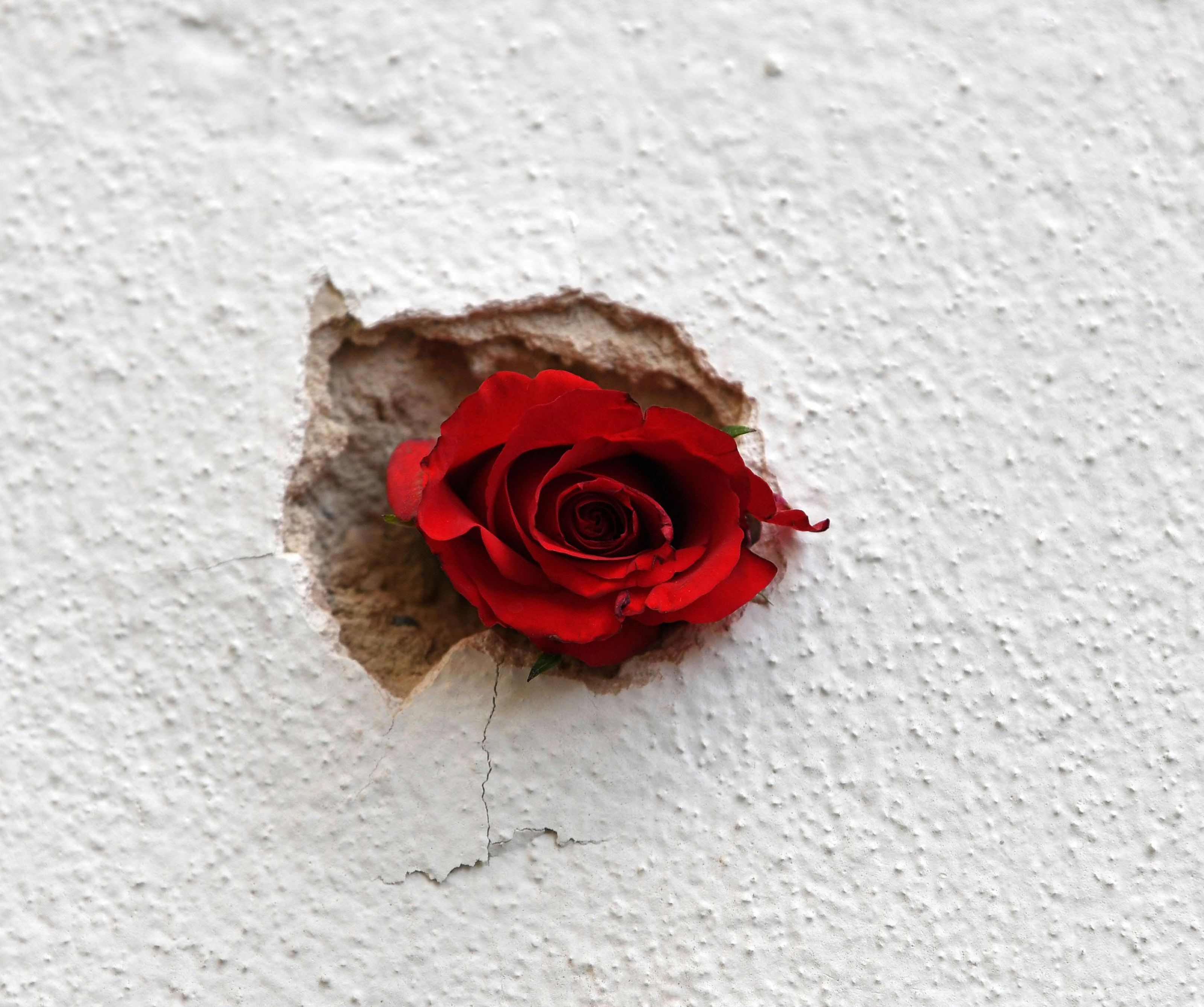 Am Sonntag jährt sich der Terroranschlag in der Wiener Innenstadt zum fünften Mal. Am Sonntag jährt sich der Terroranschlag in der Wiener Innenstadt zum fünften Mal.